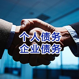 禄劝追债公司